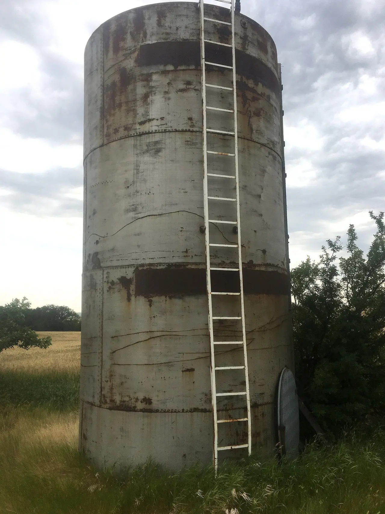 Old rusty tank with ladder in a field, 2017